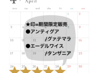 2023年4月の予定