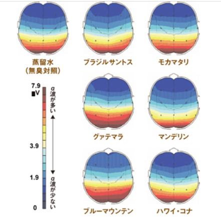 コーヒー種類による脳のα波の比較／出典全日本コーヒー協会