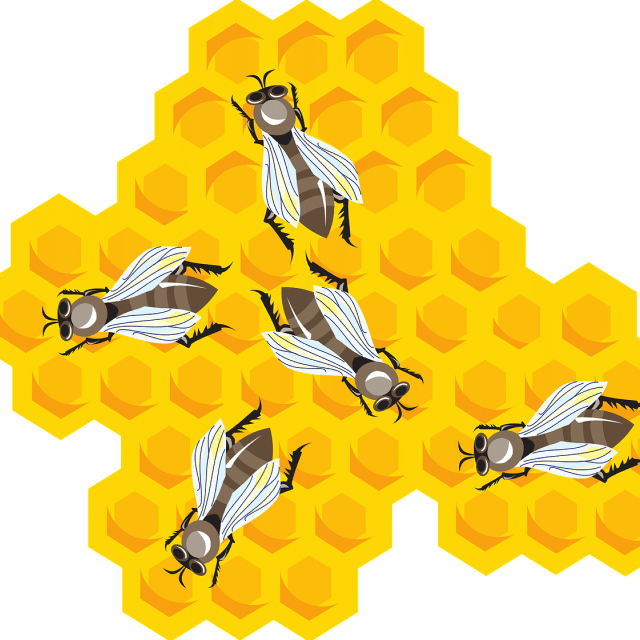 ハチと蜂の巣のイラスト